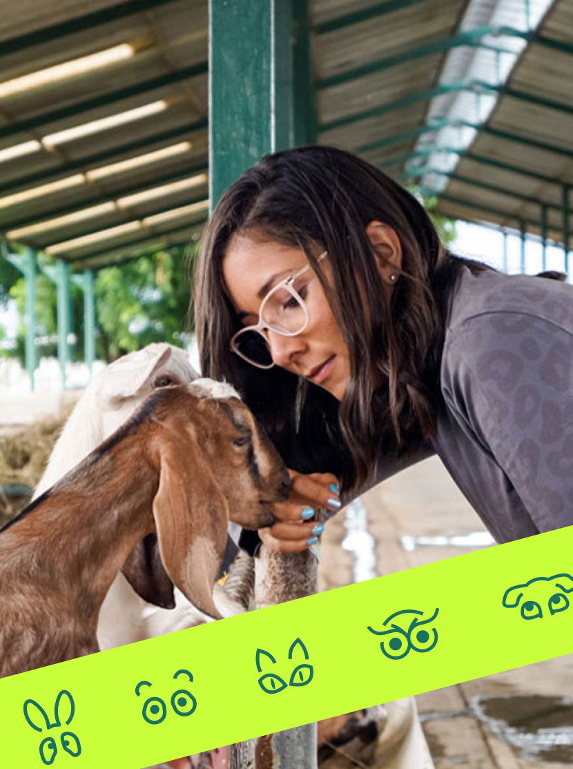 Woman gently petting a goat in a rustic barn setting.