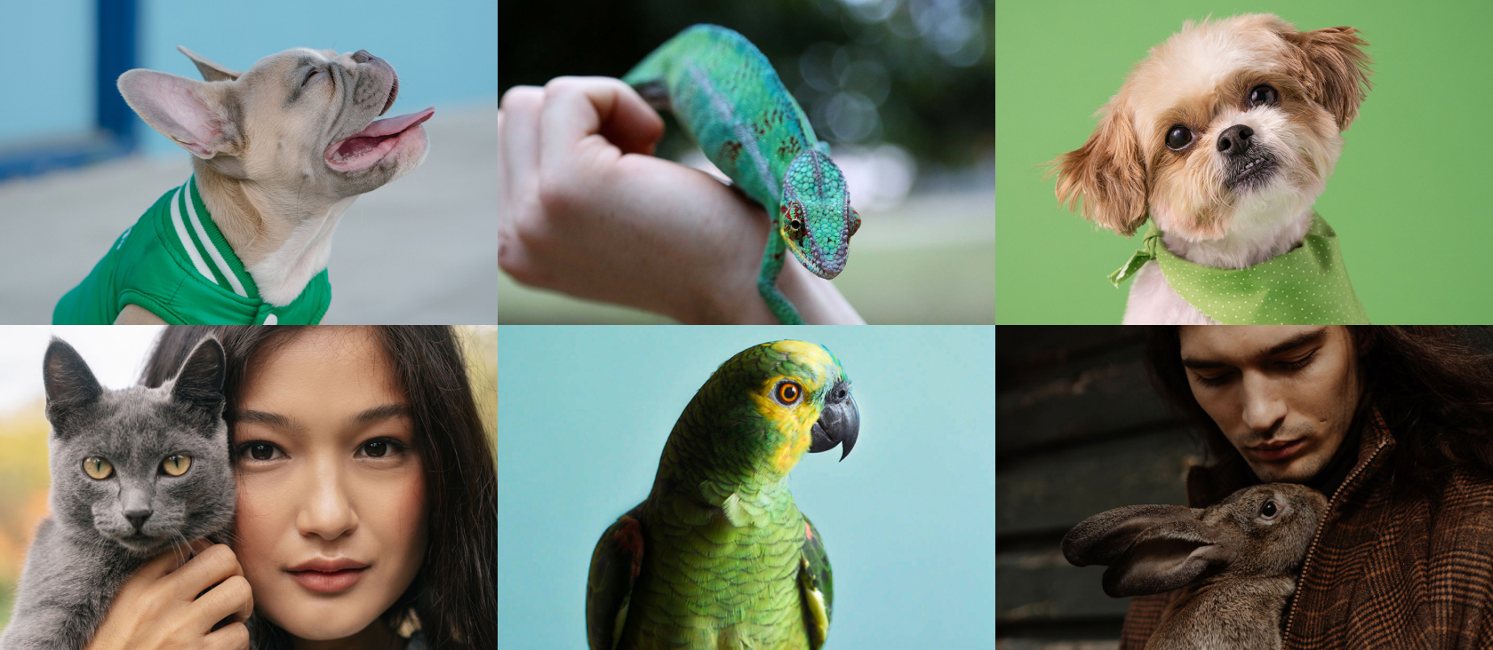 A collage of animals and people in various settings, showcasing the beauty of nature and human-animal interactions.